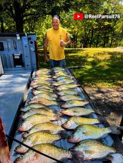 Reel Pursuit Crappie Fishing photo 2